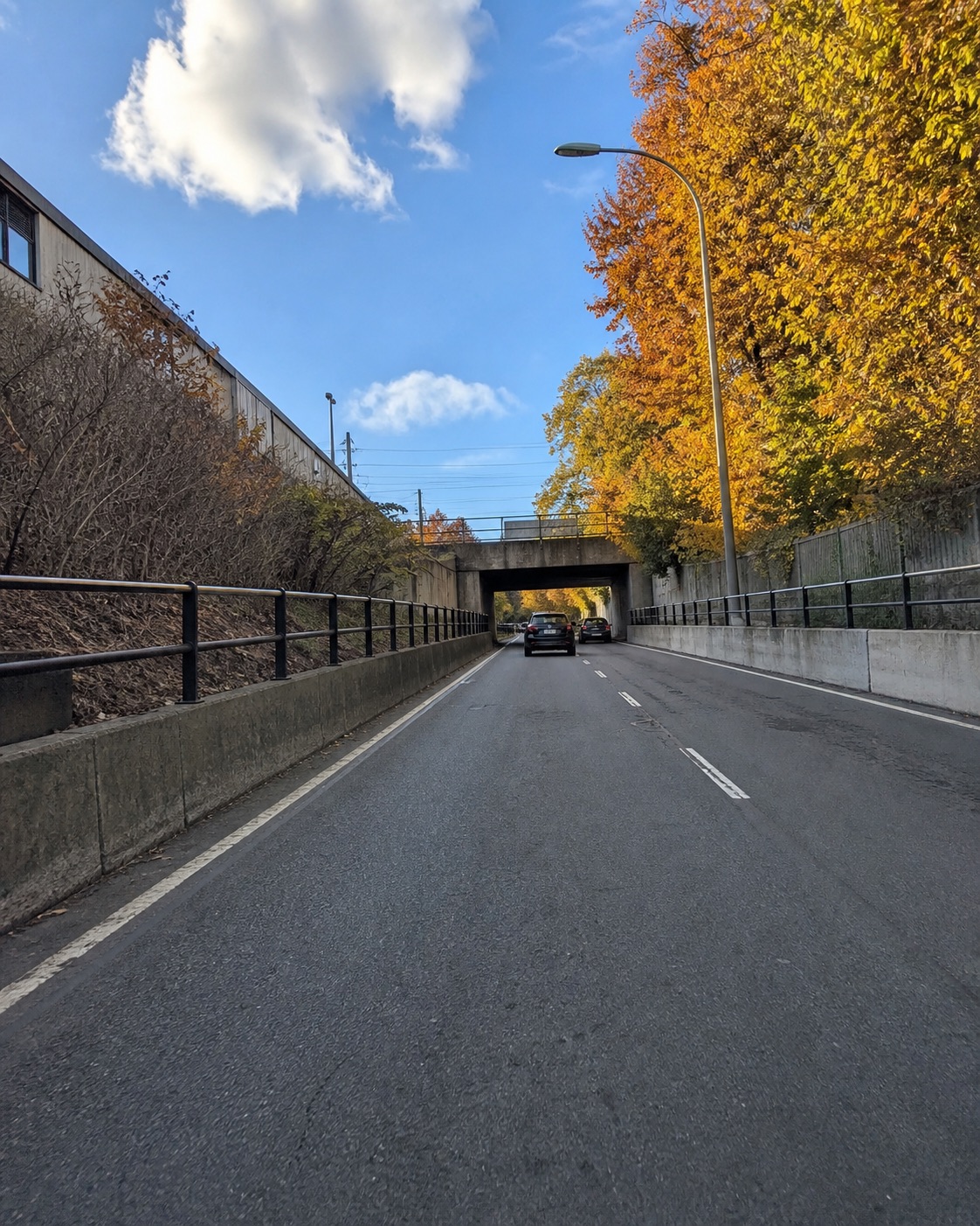 AI-generated underpass scene with vehicles, walls and autumn trees, inspired by a Route 46 corridor setting. No exact location or current road arrangement is verified by this illustration.